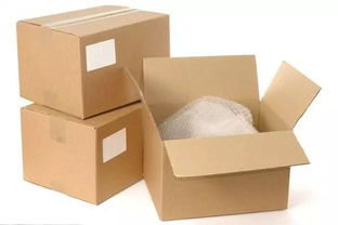 中班主題活動(dòng) 紙的世界